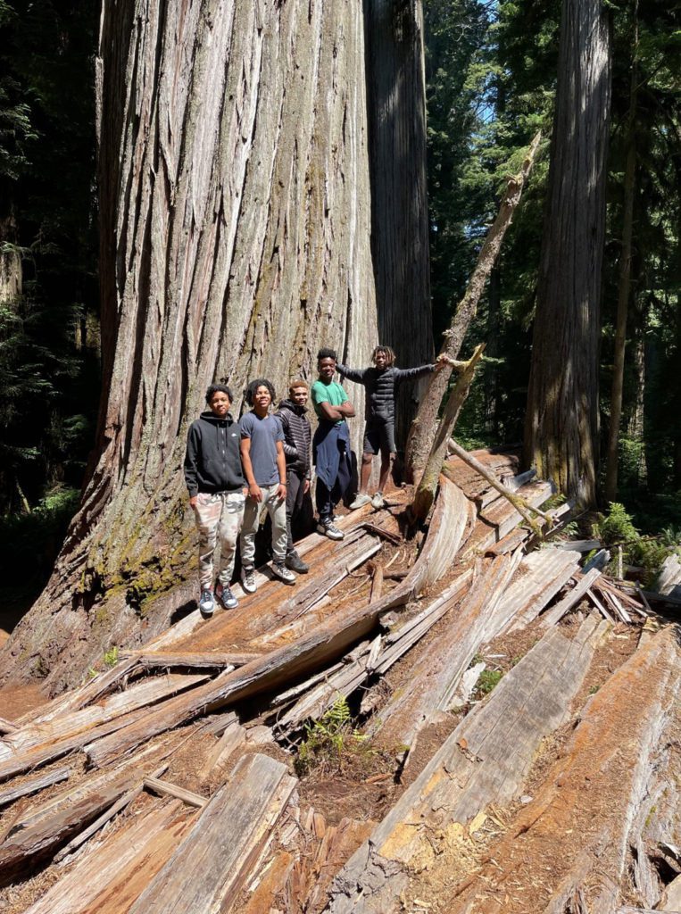 Wilderness Works in the Redwoods of California