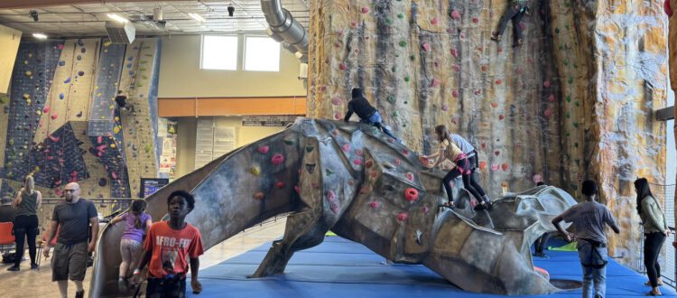 Wilderness Works at the Stone Summit