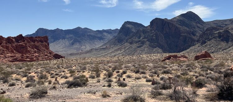 Wilderness Works panorama sandstone